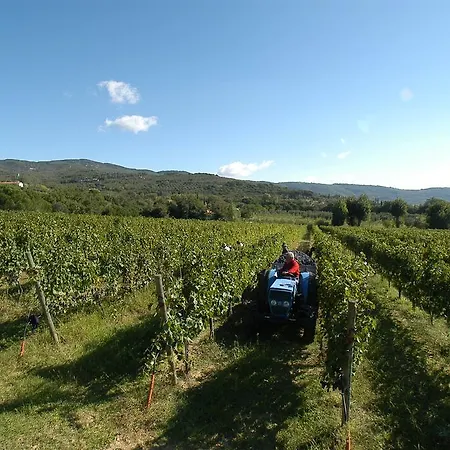 La Casa Colonica Wine And Oil Tuoro sul Trasimeno