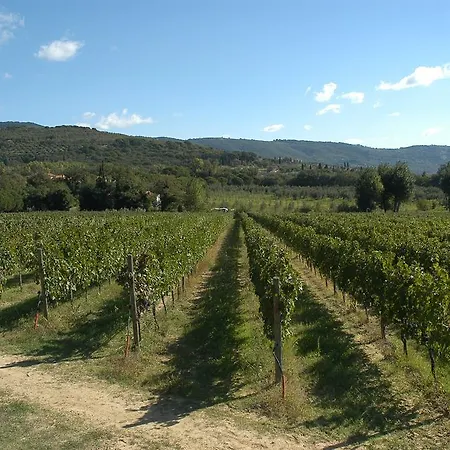 La Casa Colonica Wine And Oil Farmház *