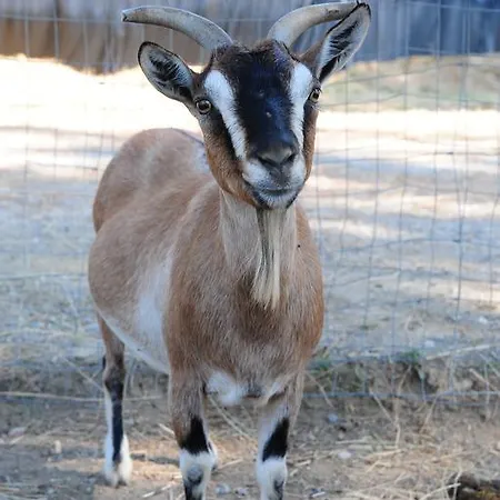 La Casa Colonica Wine And Oil * Tuoro sul Trasimeno