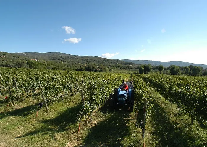 La Casa Colonica Wine And Oil Tuoro sul Trasimeno