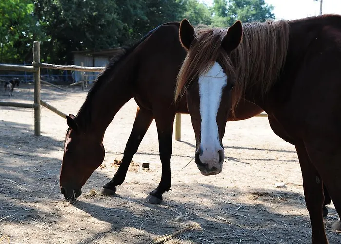 Bauernhof La Casa Colonica Wine And Oil *