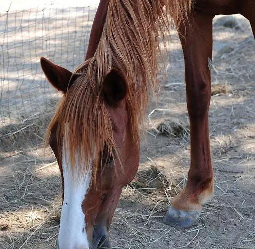 La Casa Colonica * Tuoro sul Trasimeno