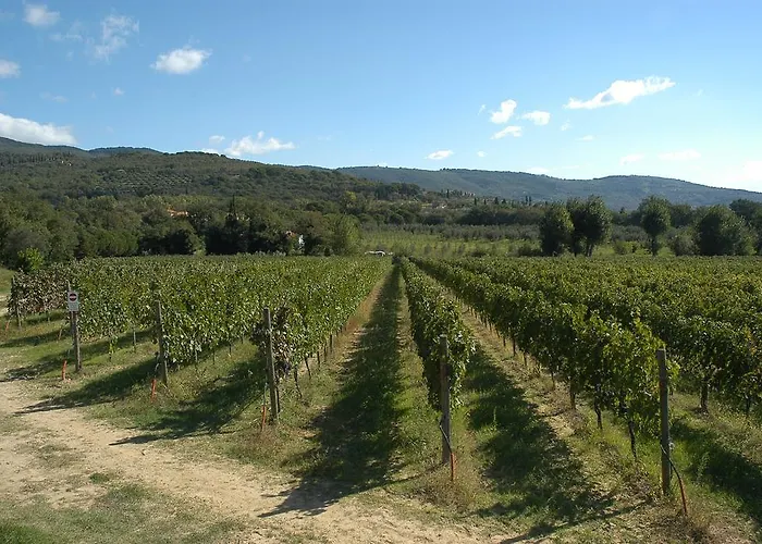 La Casa Colonica Alloggio per agriturismo *