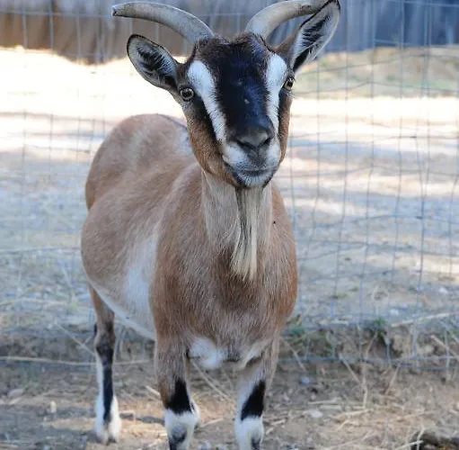 La Casa Colonica * Tuoro sul Trasimeno