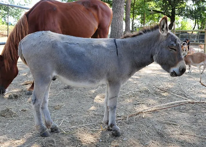 Bauernhof La Casa Colonica Wine And Oil *